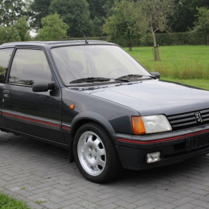Peugeot 205 1.9 Gti