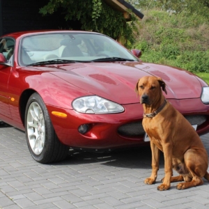 Jaguar XKR 4.0 V8 supercharged