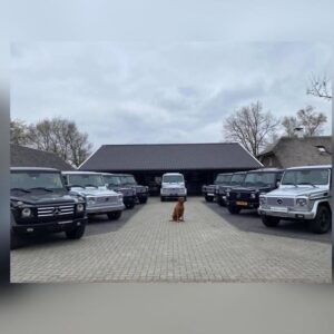 Mercedes G550 (w463) 2009