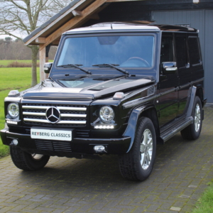 Mercedes G500 (w463) 2009 #6588